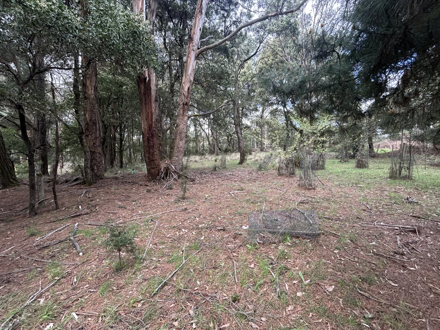 Image 6
