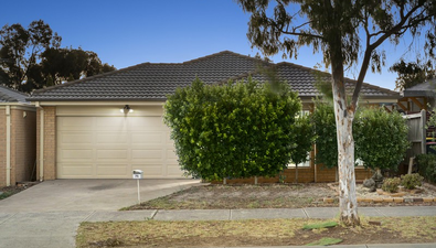 Picture of 75 Verdant Road, TRUGANINA VIC 3029