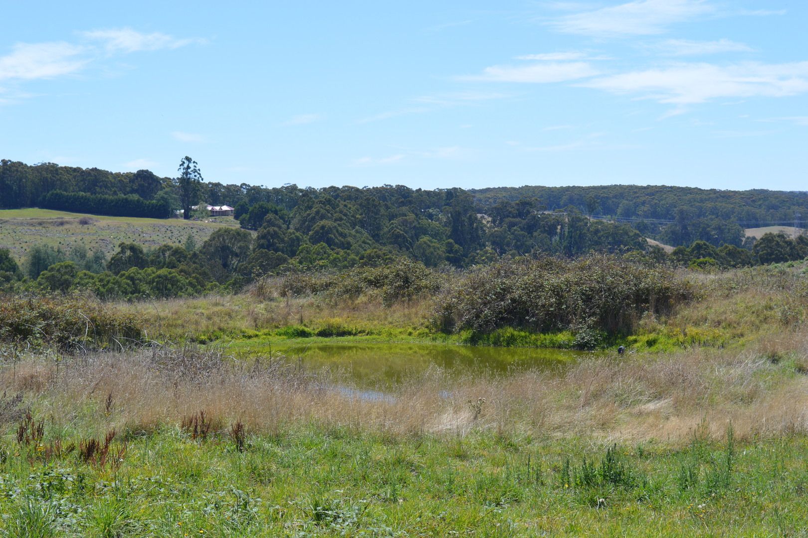 Foster Road, Boolarra South VIC 3870, Image 2