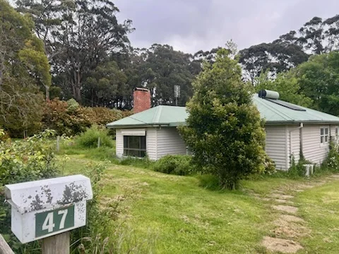 Image 20