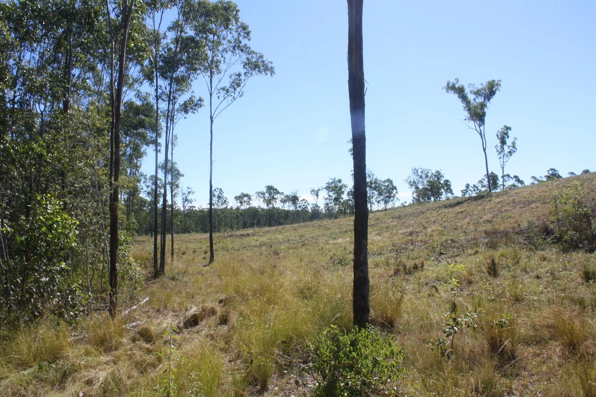 Image 35