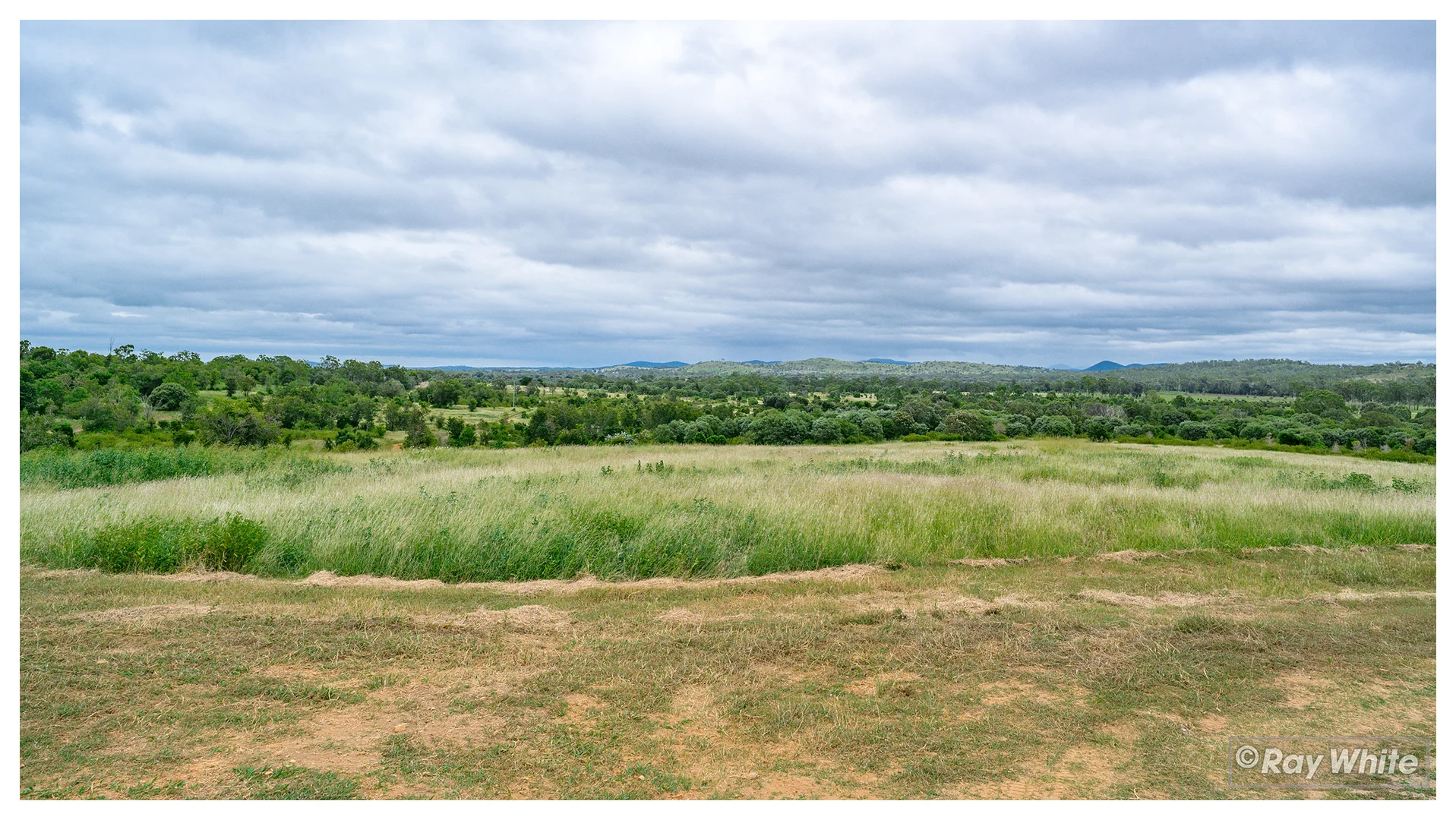 Image 38
