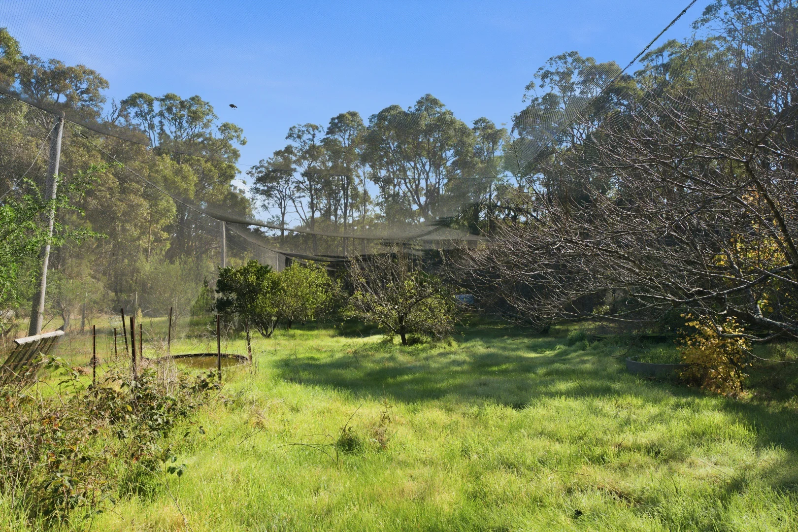 Image 30