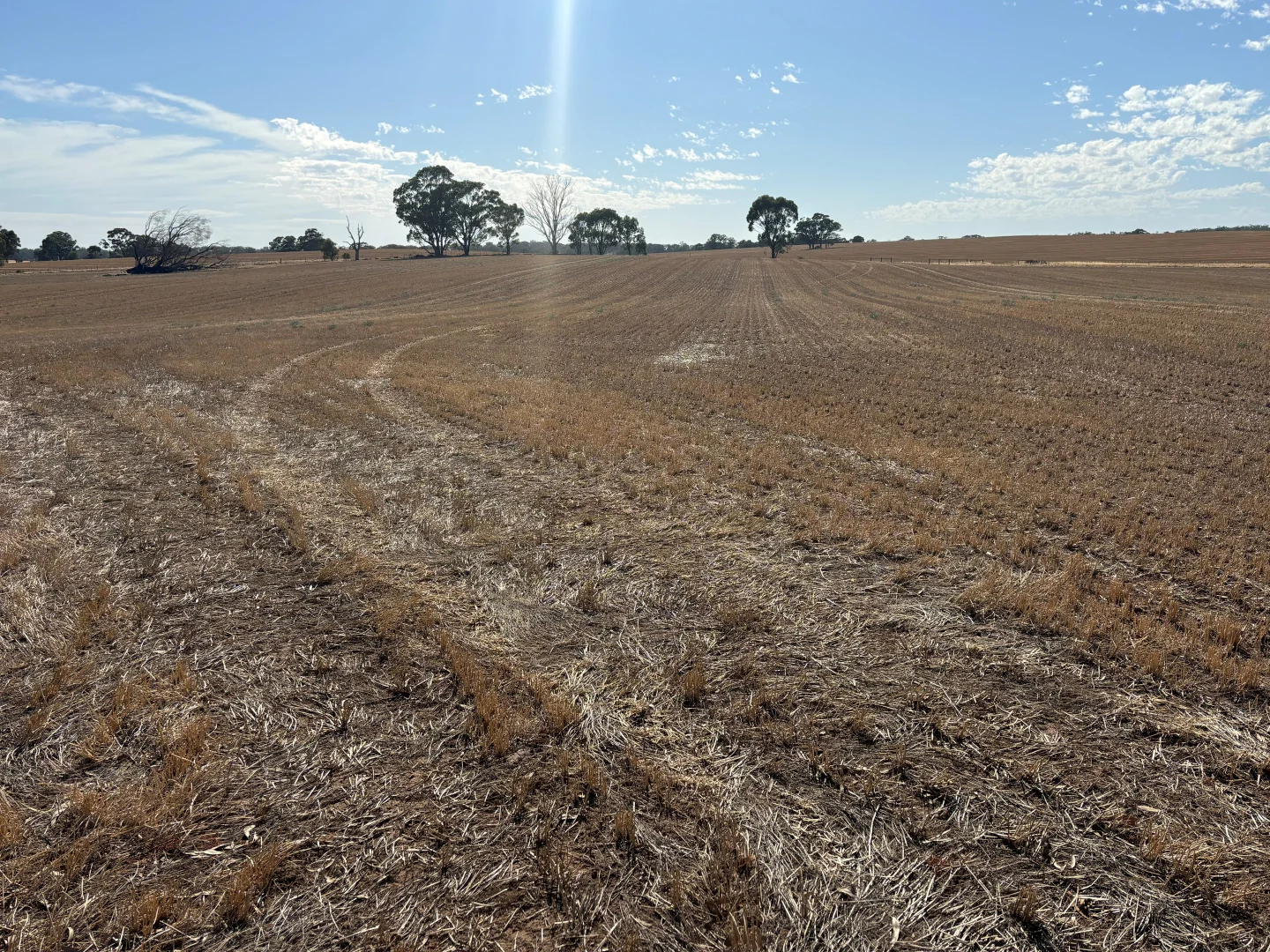 Image 12