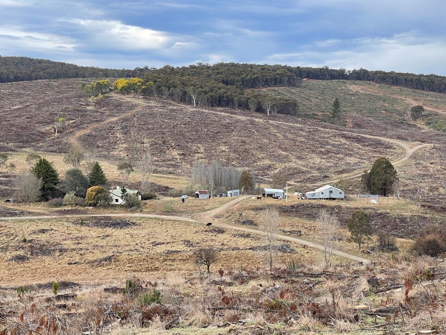 Craigie 1 Stewarts Road, Delegate NSW 2633, Image 0