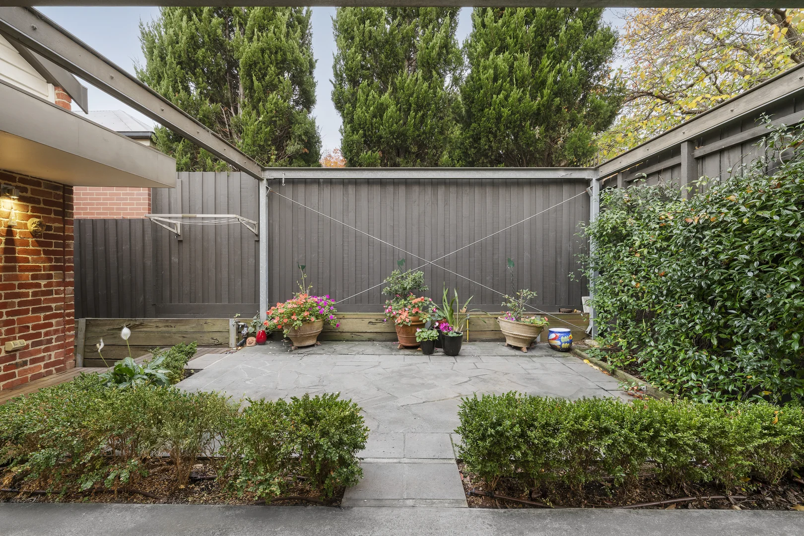 Image 10