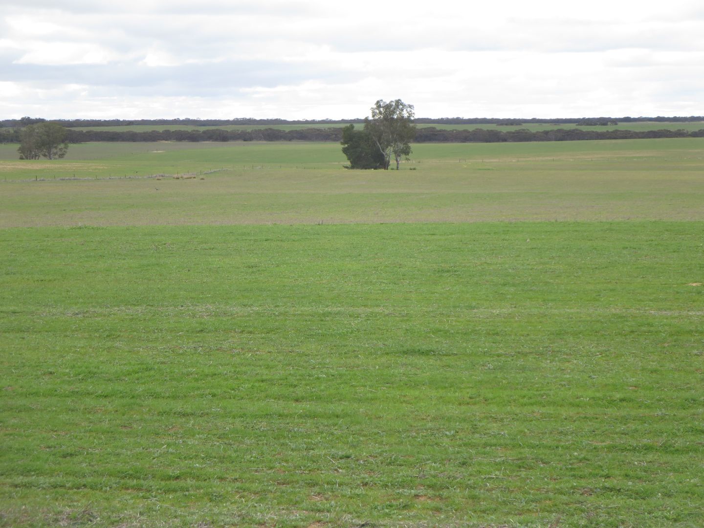 Loxton Road, Karoonda SA 5307, Image 1