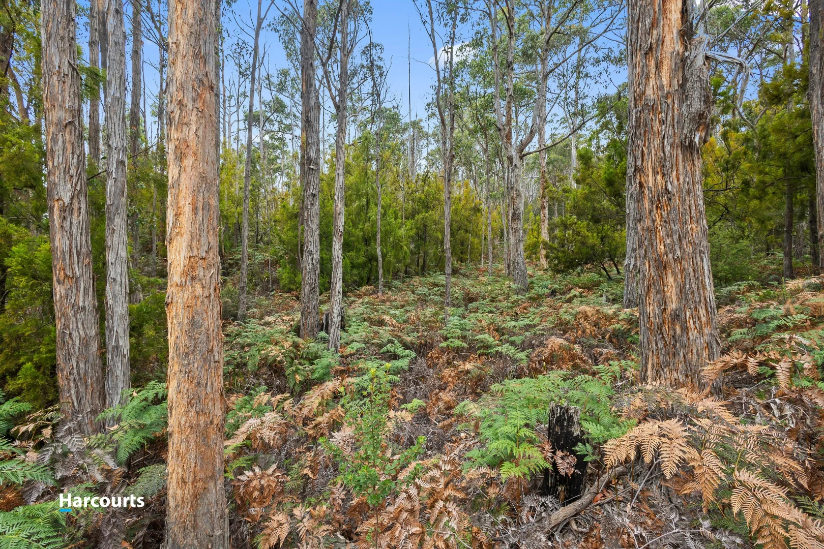 Additional image 5 of Lot 15 Abels Bay Road, Abels Bay TAS 7112