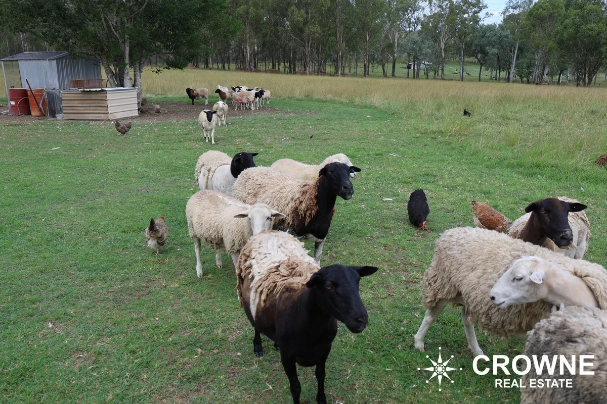 Additional image 29 of 380 Ipswich-Boonah Road, Purga QLD 4306