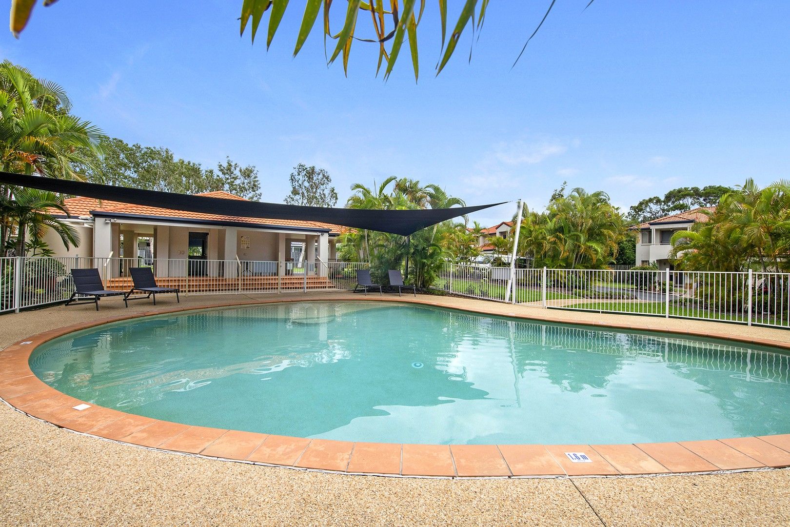 48B/19 Harrow Place, Arundel QLD 4214 Townhouse For Rent Domain