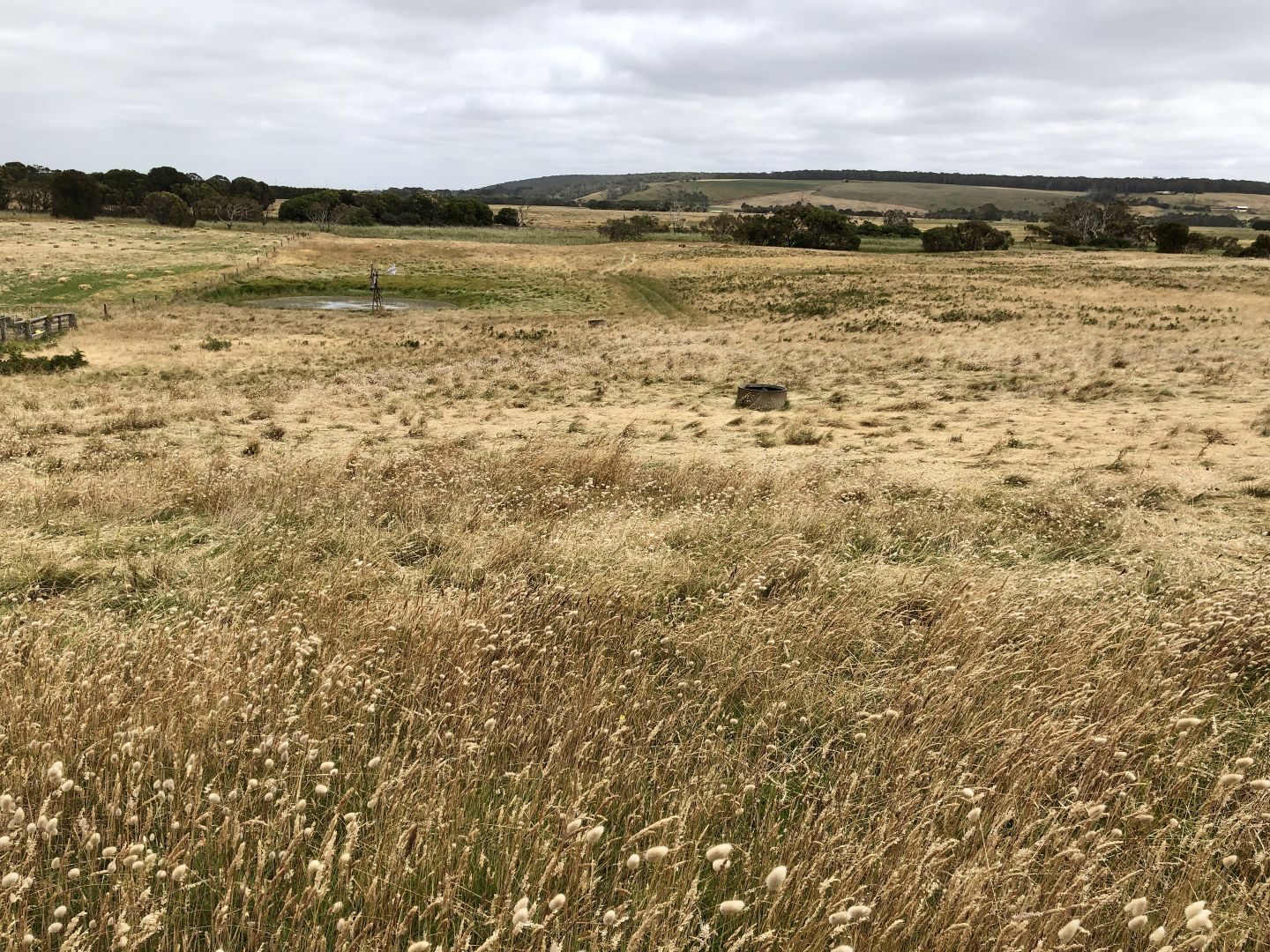 8248 Princes Highway, Allestree VIC 3305 House for Rent Domain