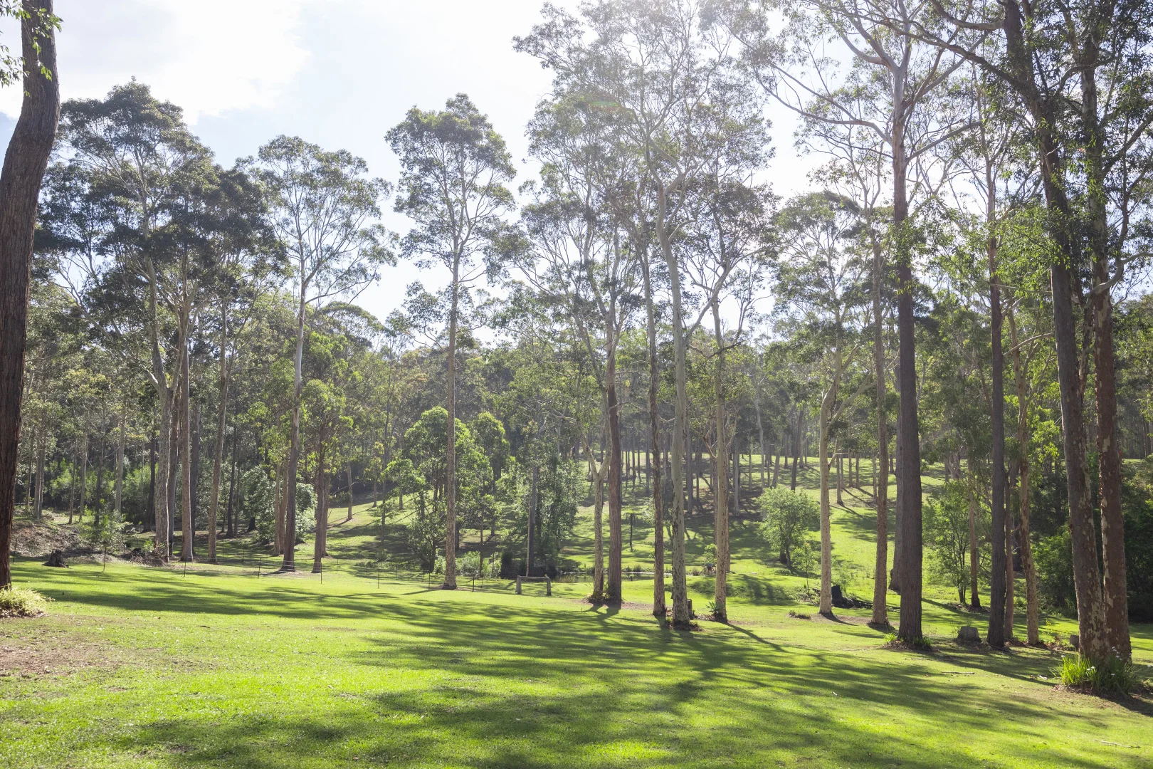 Additional image 35 of 82 Jack Reid Road, Termeil NSW 2539