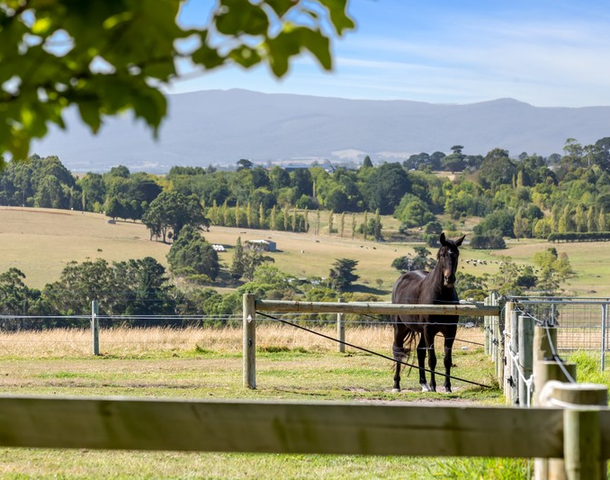 130 Tolley Road, Ripplebrook VIC 3818