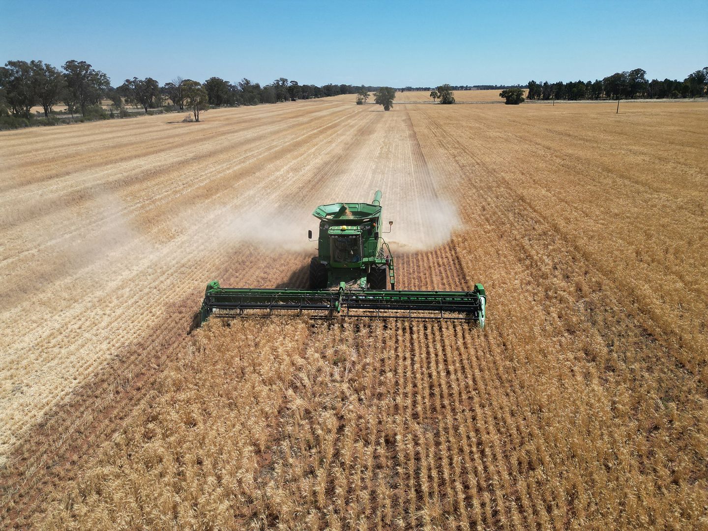 'Dalina' 2277 Tomingley Road, Narromine NSW 2821 House for Sale