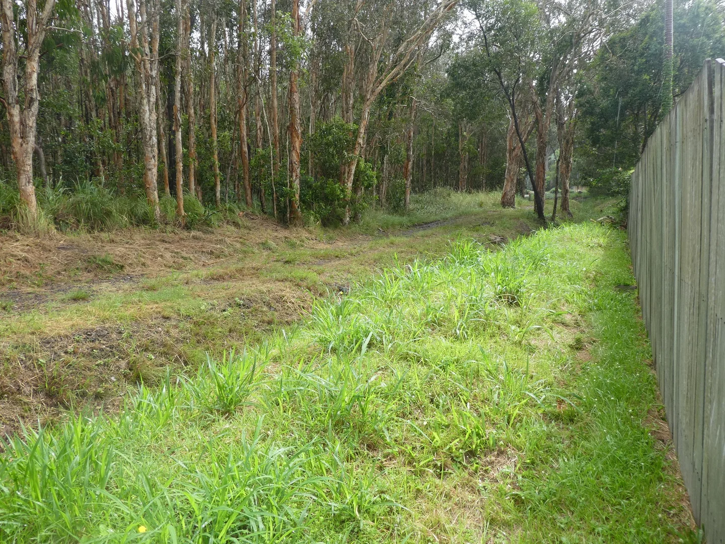 Additional image 9 of 2/9 Power Court, Mount Coolum QLD 4573