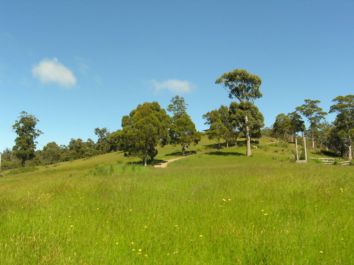 Lot 8 Scenic Hill Road, Huonville TAS 7109, Image 2