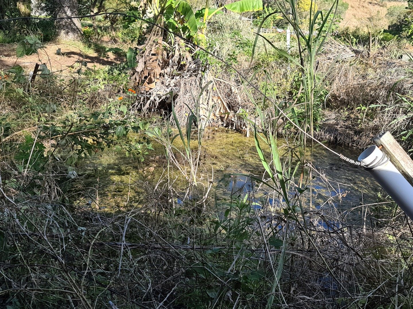 Mount Perry QLD 4671 vacant land for Sale 2018215762 Domain