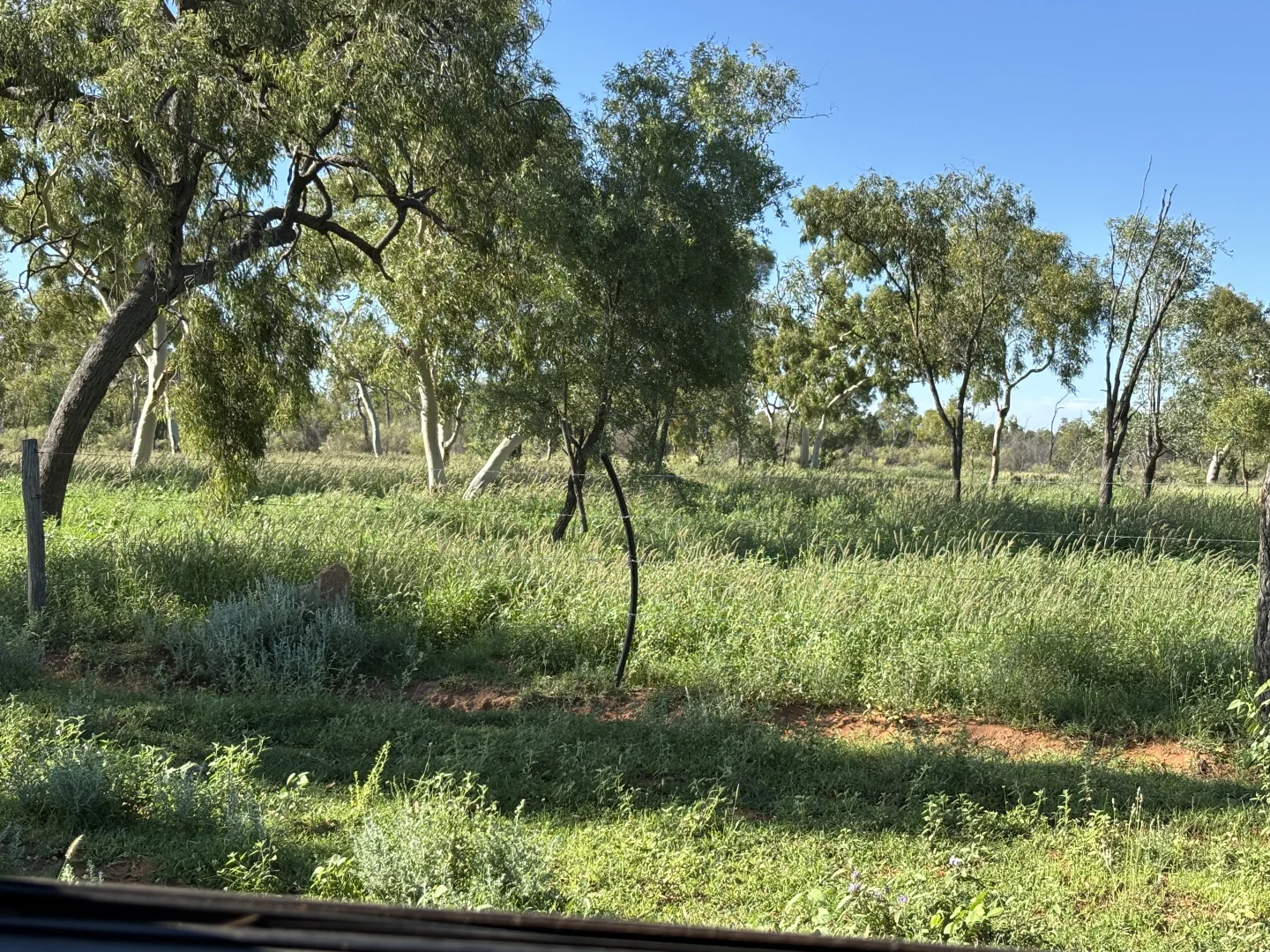 Image 10