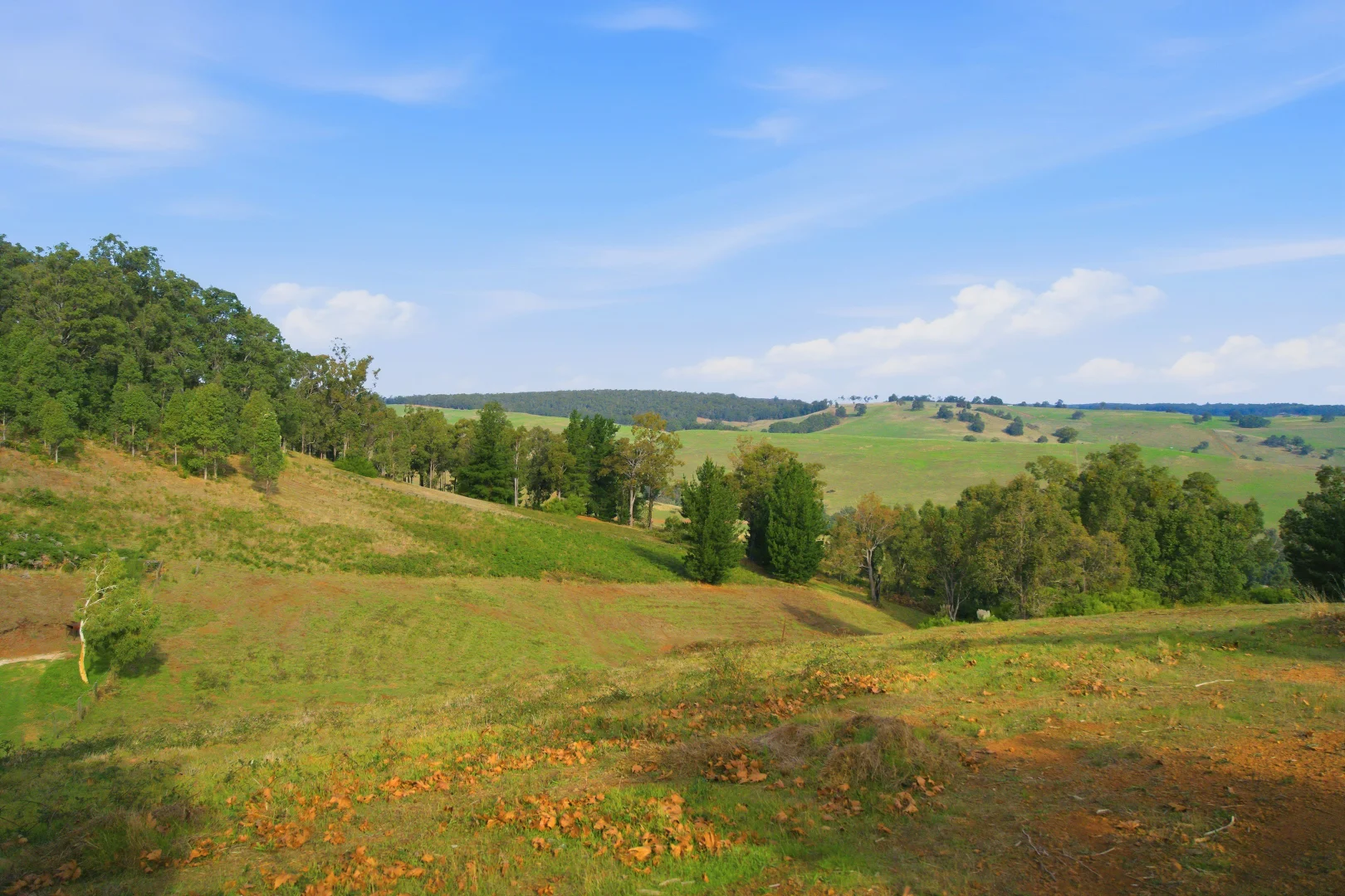 Image 10