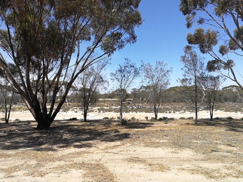 194 & 244 Ebsary Street, Dumbleyung WA 6350, Image 2