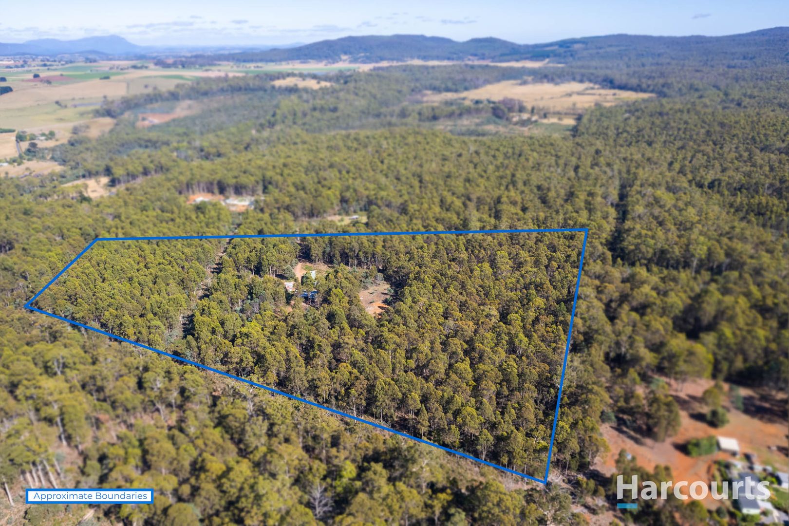 99 Silver Wattle Drive, Reedy Marsh TAS 7304, Image 1