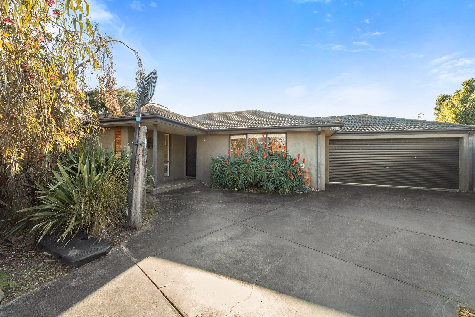 5 Koala Court, Chelsea VIC 3196, Image 0