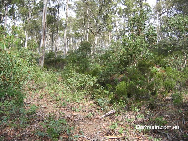 Lot 2 Wigrams Way, LONDON LAKES TAS 7140, Image 2