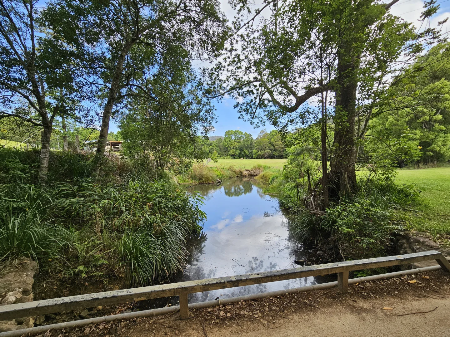Image 28
