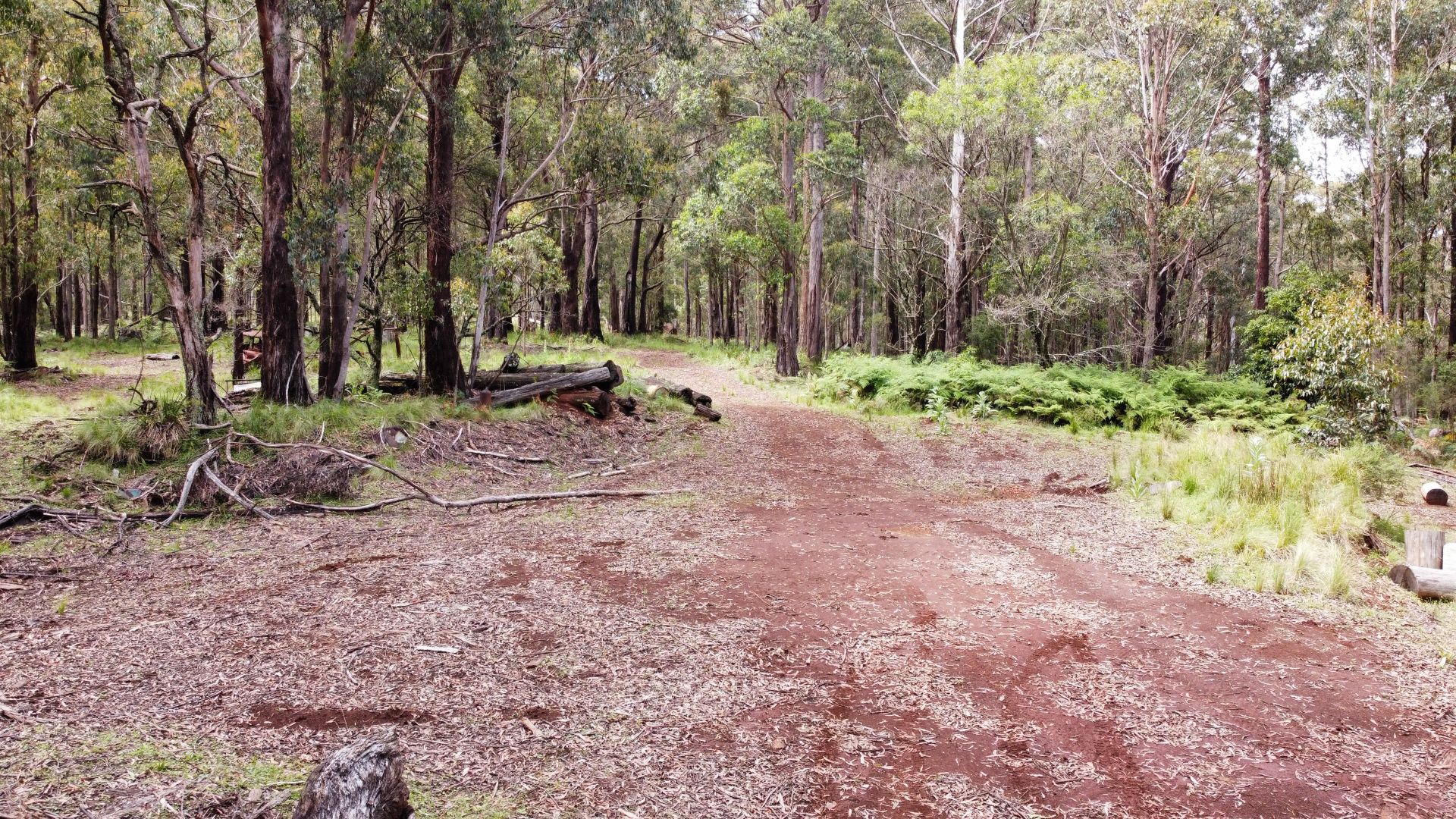 Lot 81-82, 94-95 Upper Rouchel Road, Upper Rouchel NSW 2336, Image 2