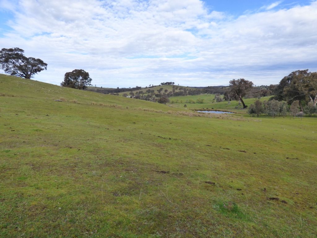 2100 Taylor's Flat Road, Taylors Flat NSW 2586, Image 0