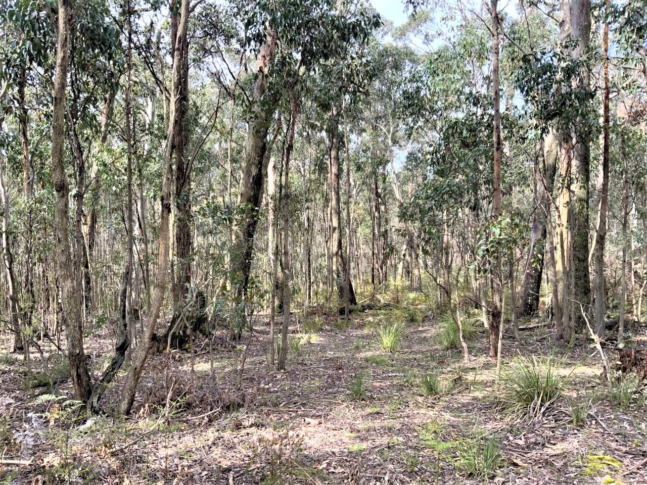 CA 68B Gibbs Access Track, Trentham East VIC 3458, Image 0