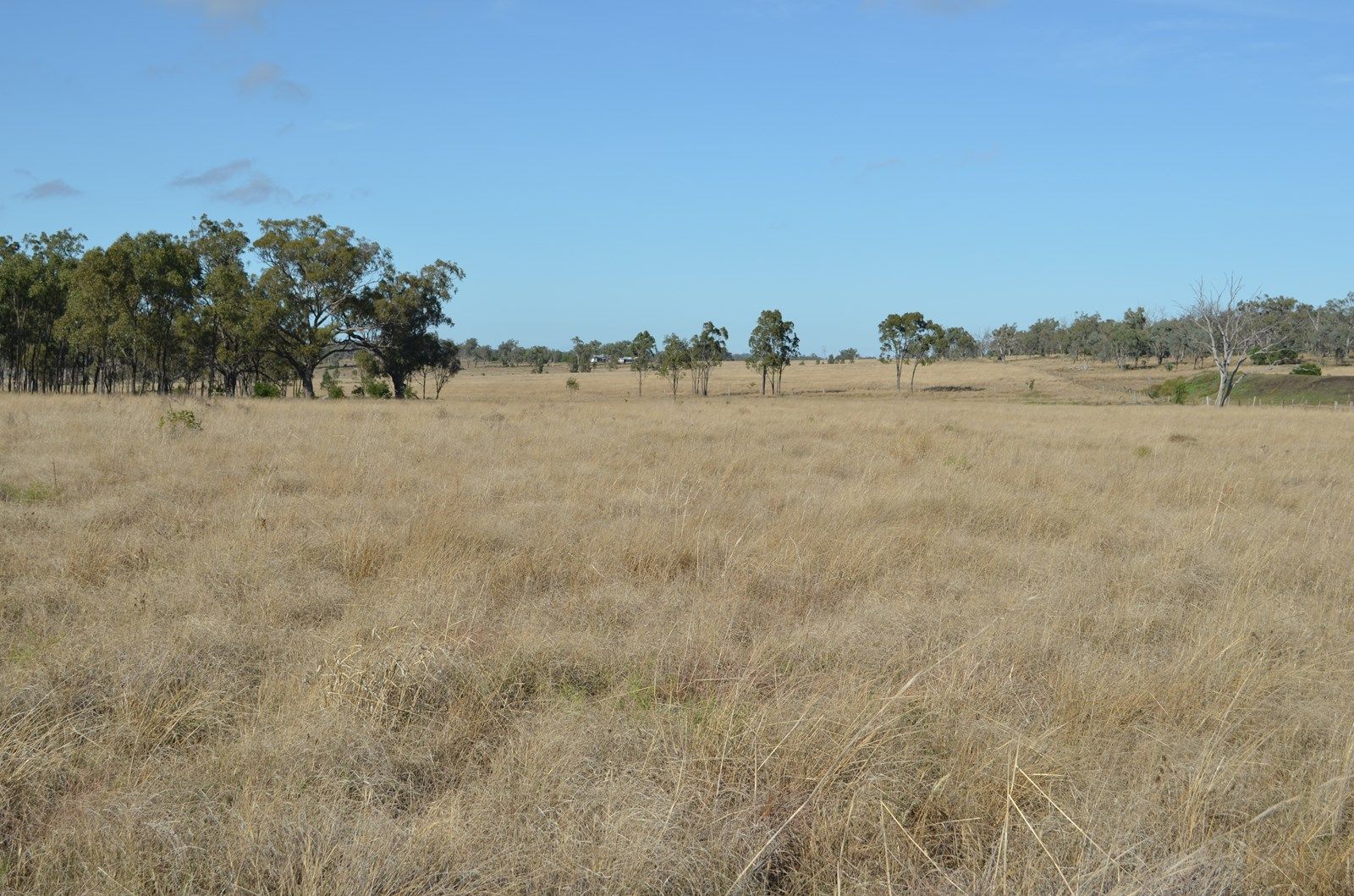 Jondaryan QLD 4403, Image 2