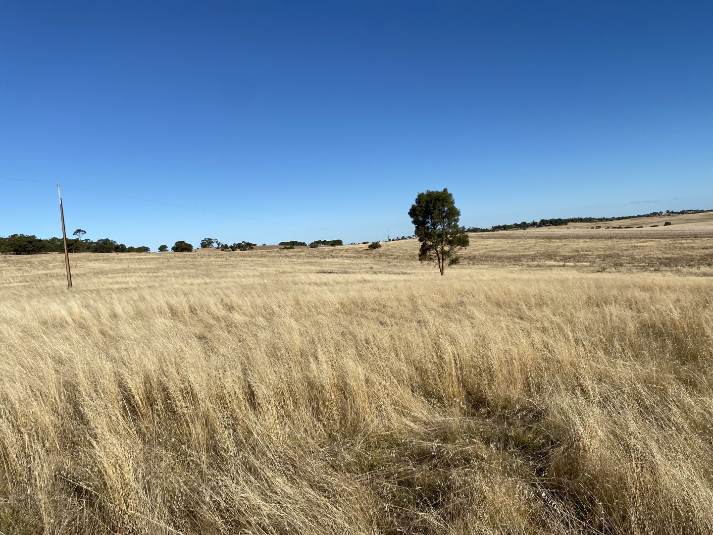 Lot 270 Hill Rd, Alma SA 5401, Image 1