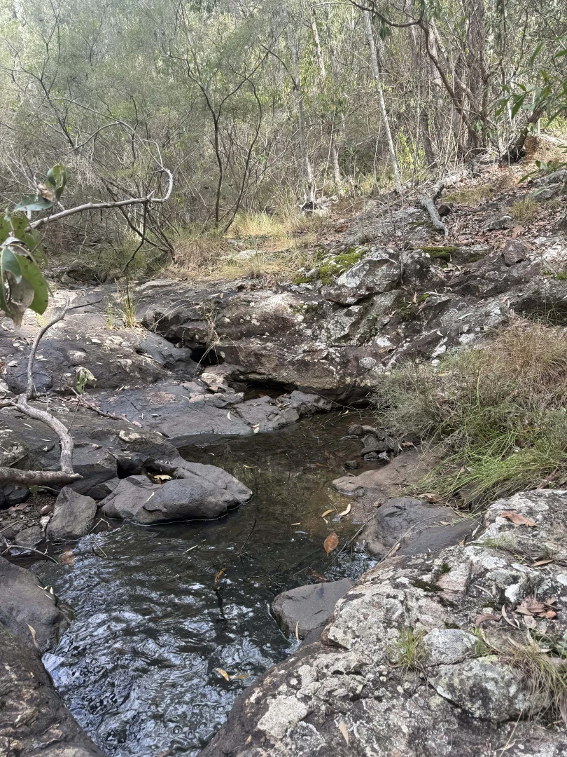 Image 12