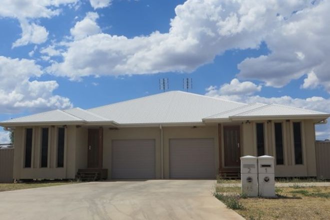 Picture of 18 Bassett Court, ROMA QLD 4455