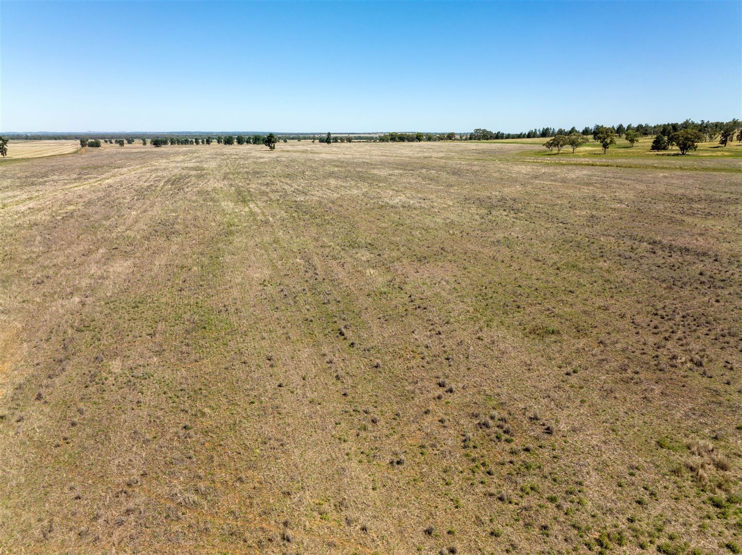 PT GOODENOUGH 716 Acres, Ungarie NSW 2669, Image 1