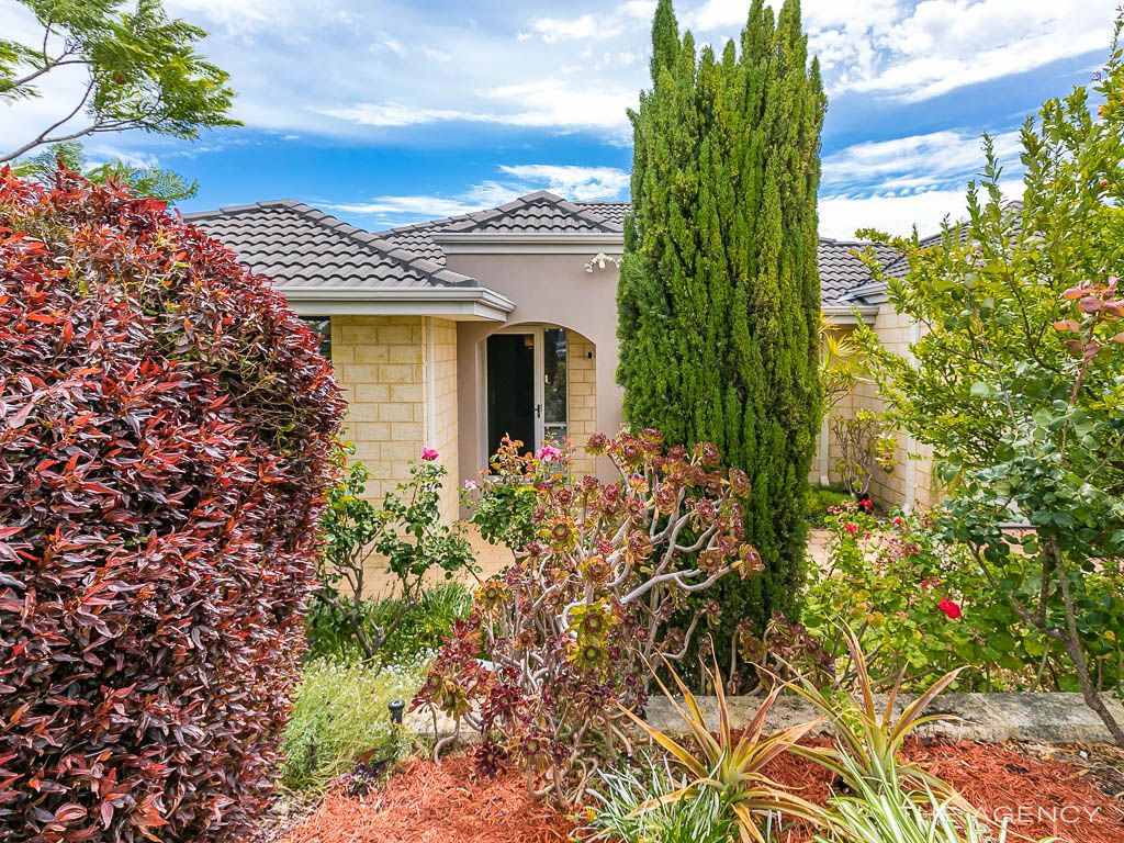 23A Constance Street, Yokine WA 6060, Image 0