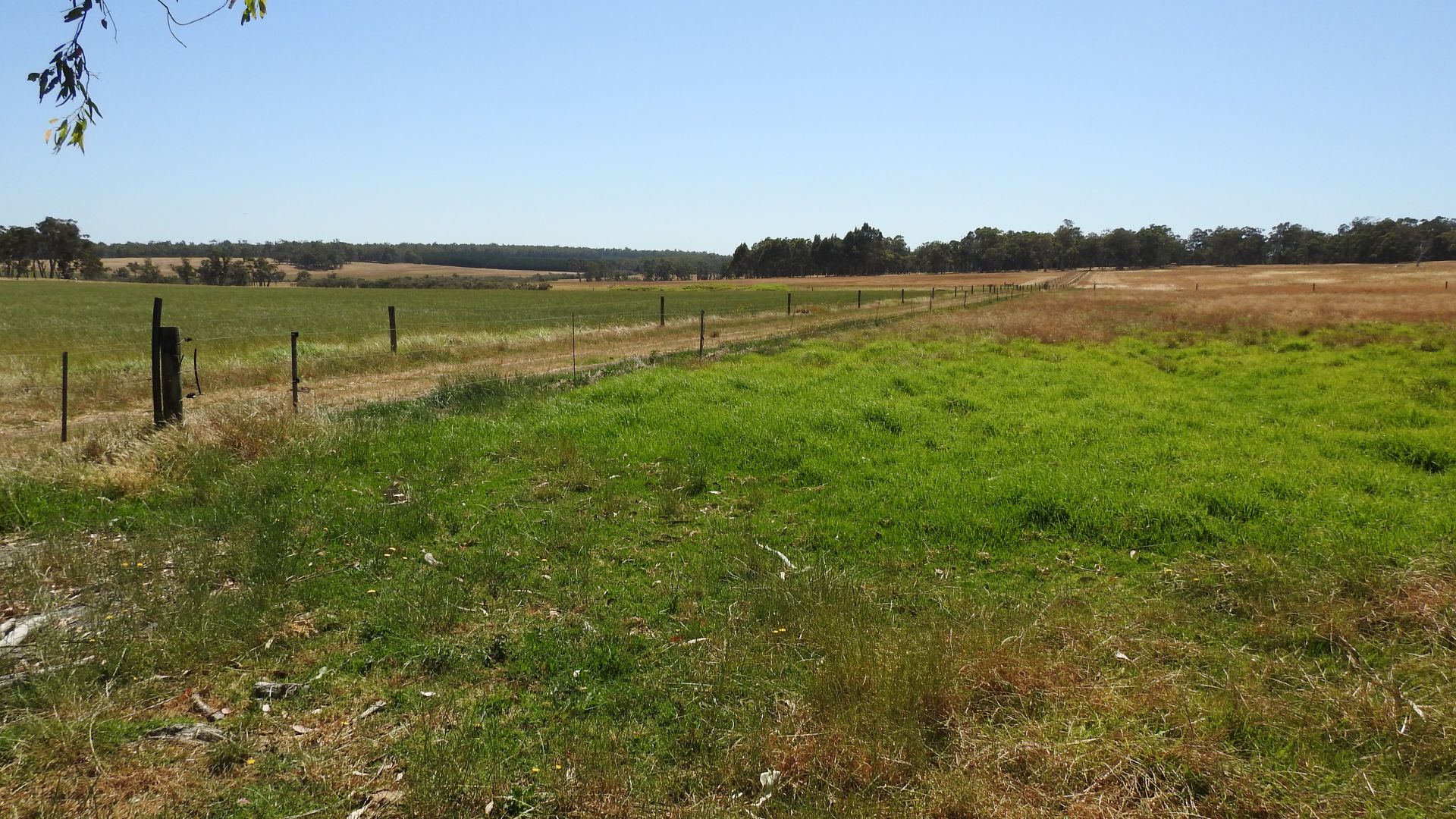 Lot 2242 Clayton Road, Treeton WA 6284, Image 1