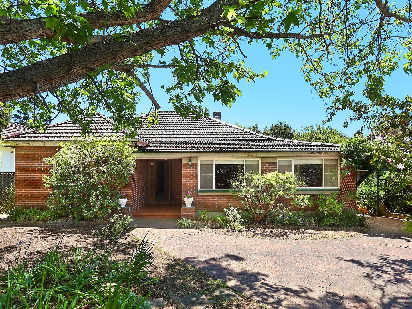 42 Eastwood Avenue, Eastwood NSW 2122, Image 0