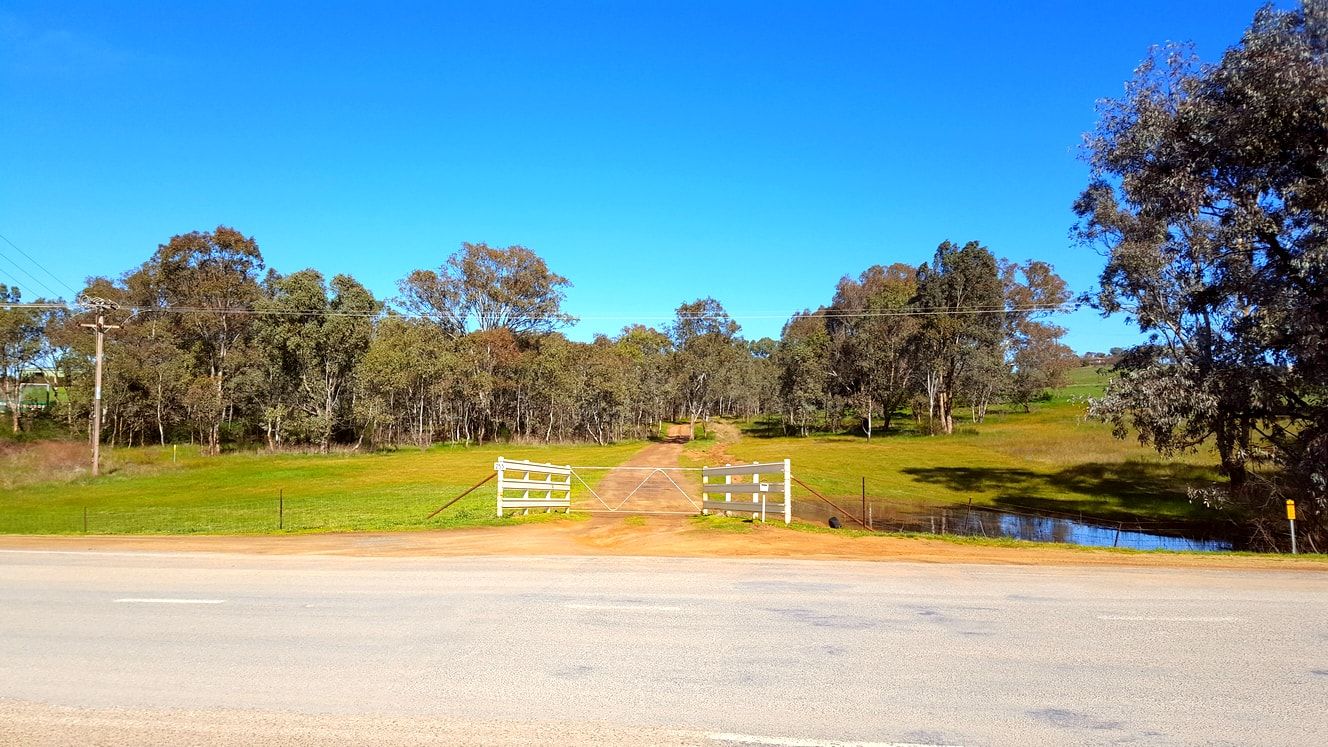 255 Milvale Rd, Young NSW 2594, Image 0