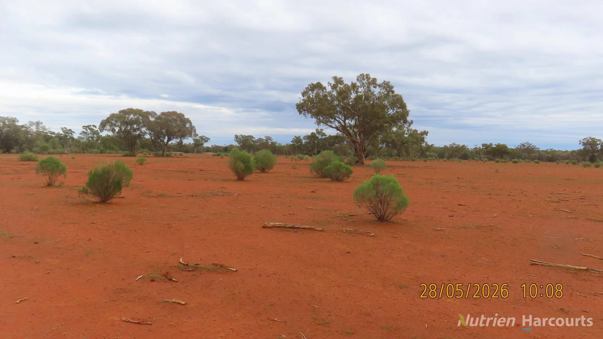 Image 15