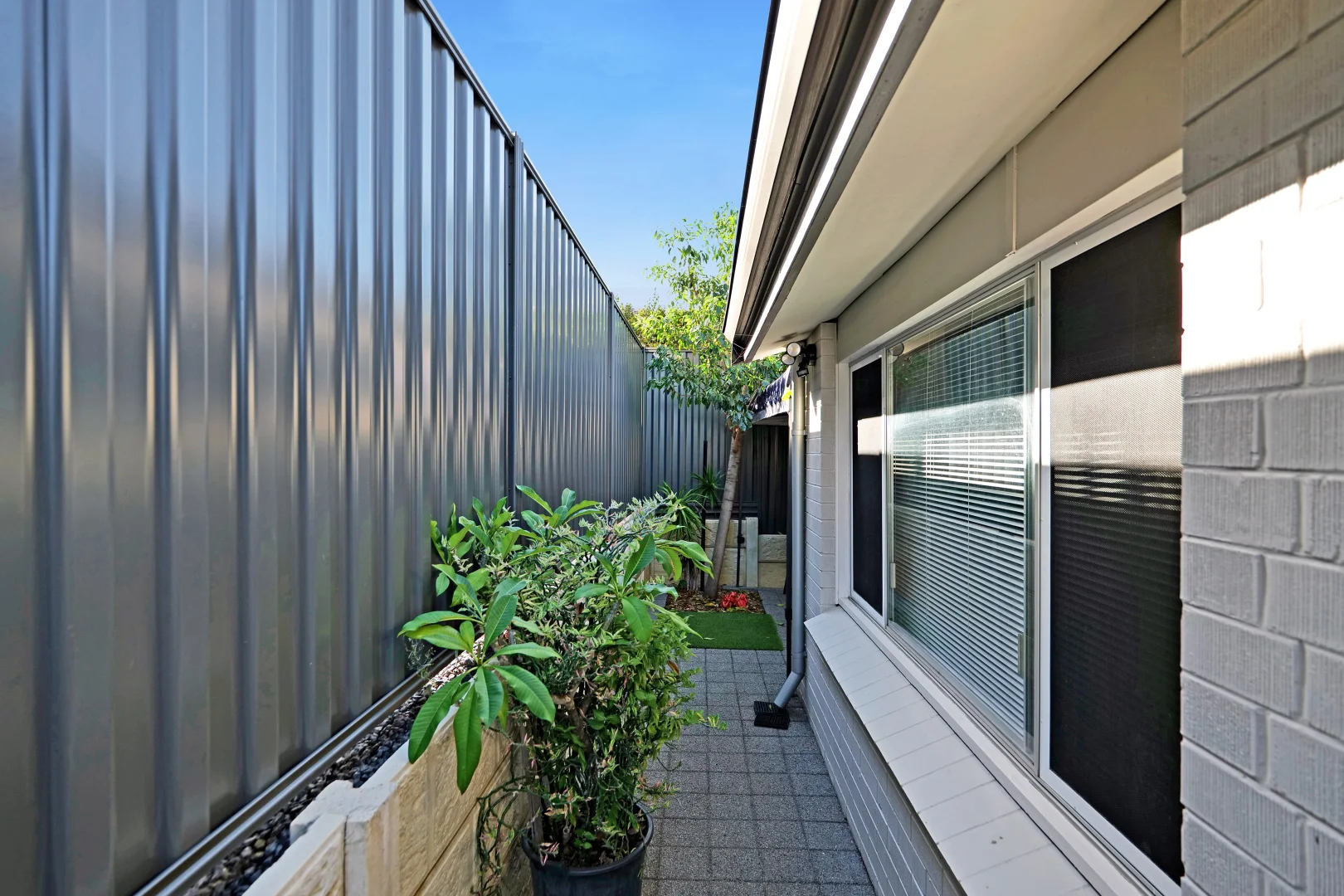 Image 21