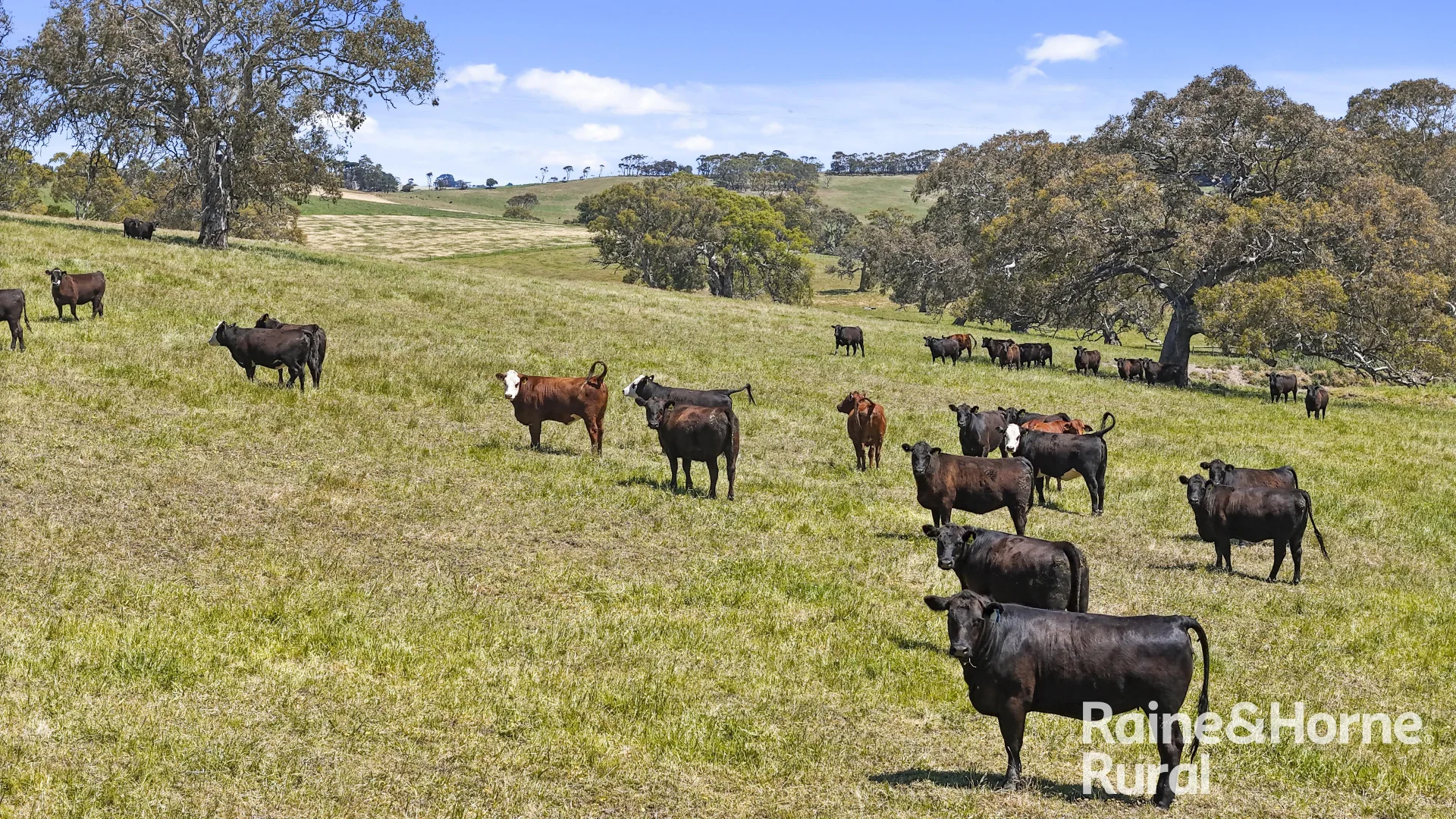 Additional image 2 of 25 Nosworthy Road, Inman Valley SA 5211