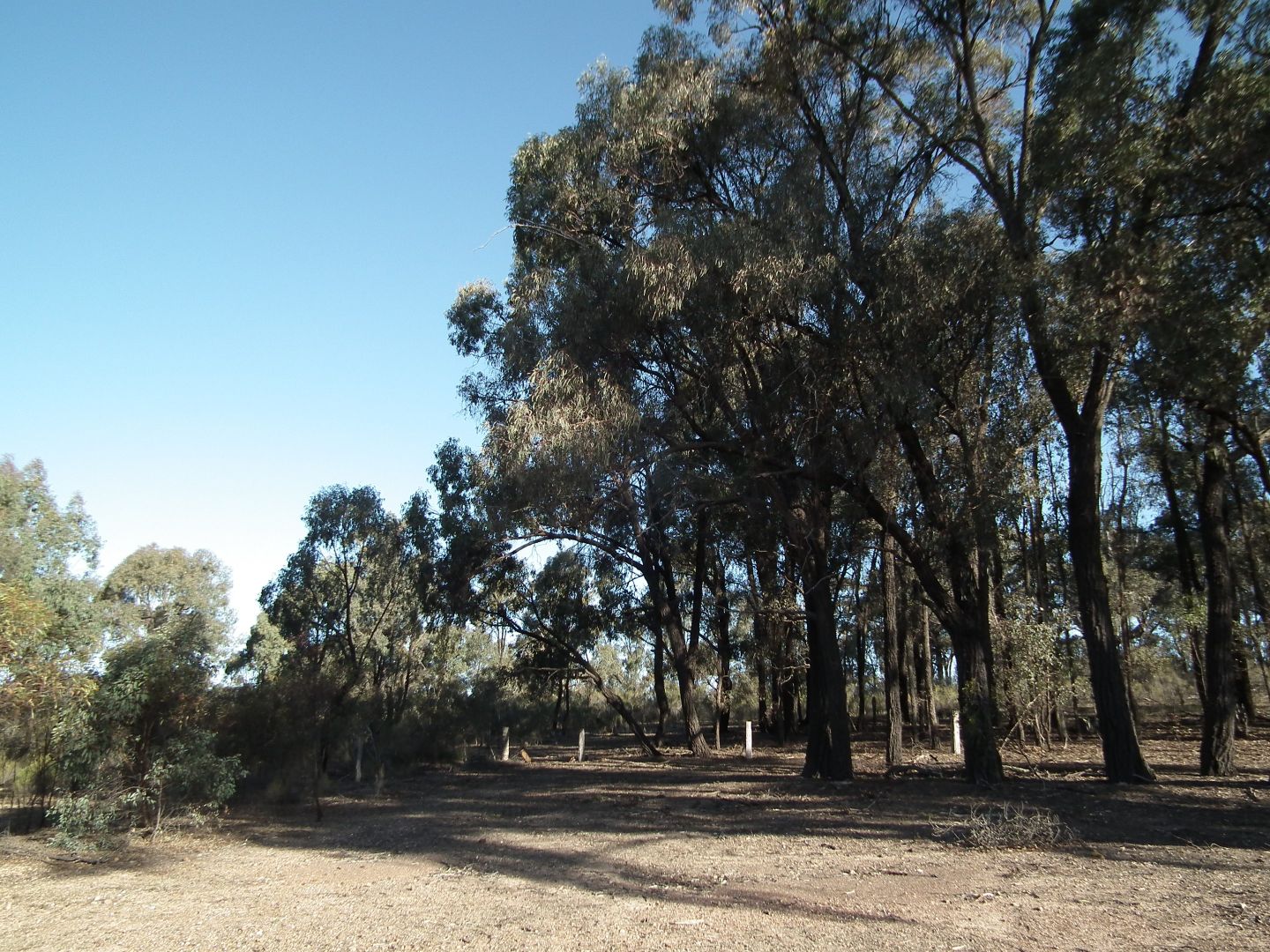 CA 30 Murchison-Whroo Road, Nagambie VIC 3608, Image 1