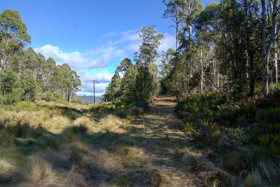 Image 13