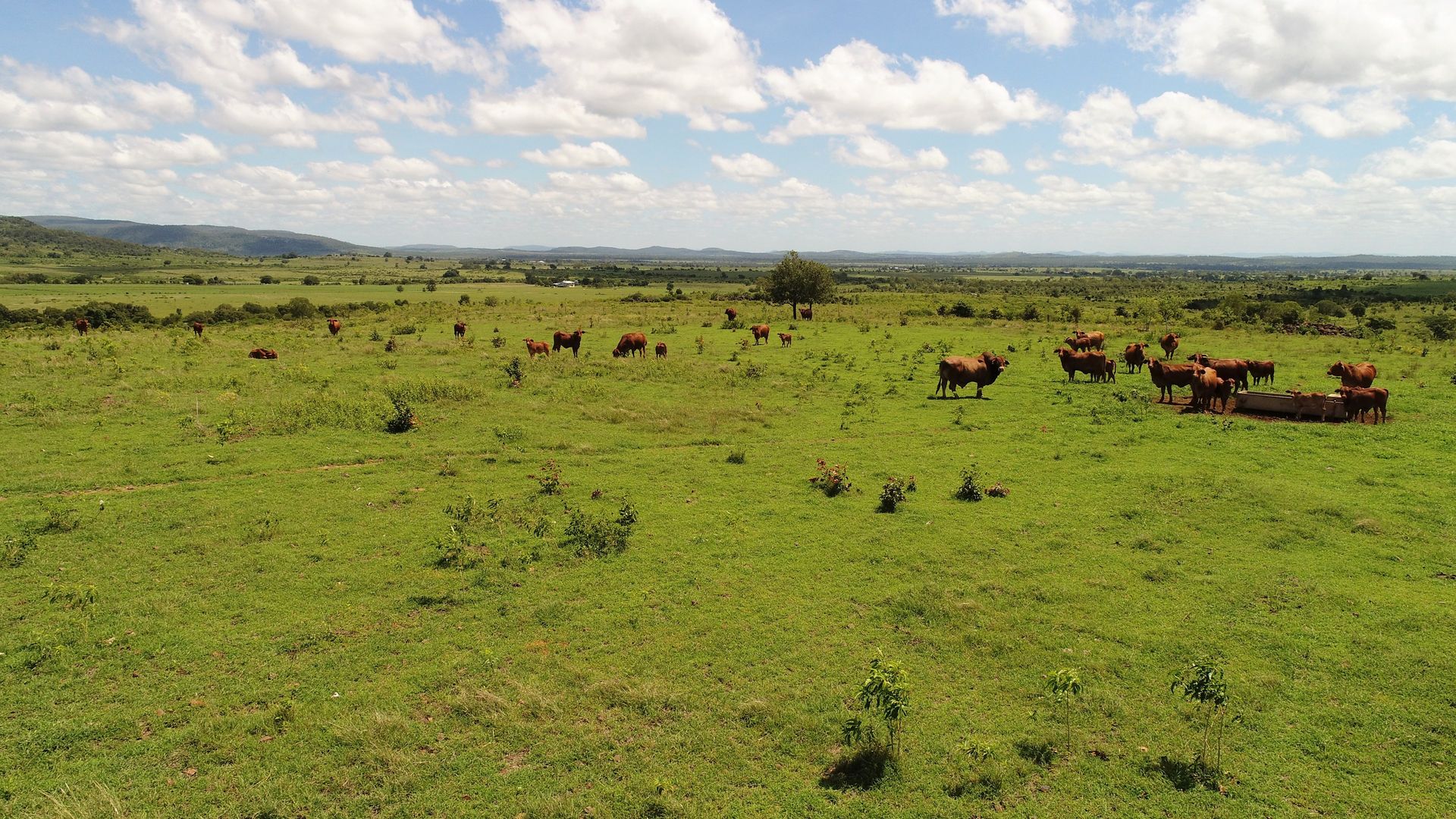 'Claidan Park', Dalma QLD 4702, Image 1