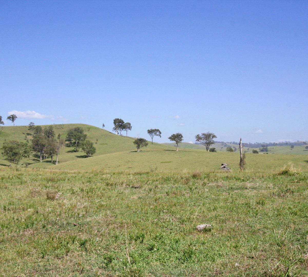 Dungog NSW 2420 house for Sale, EXPRESSIONS OF INTEREST 2013301233