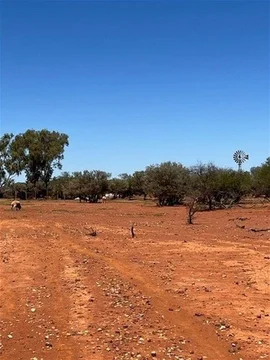 Image 13