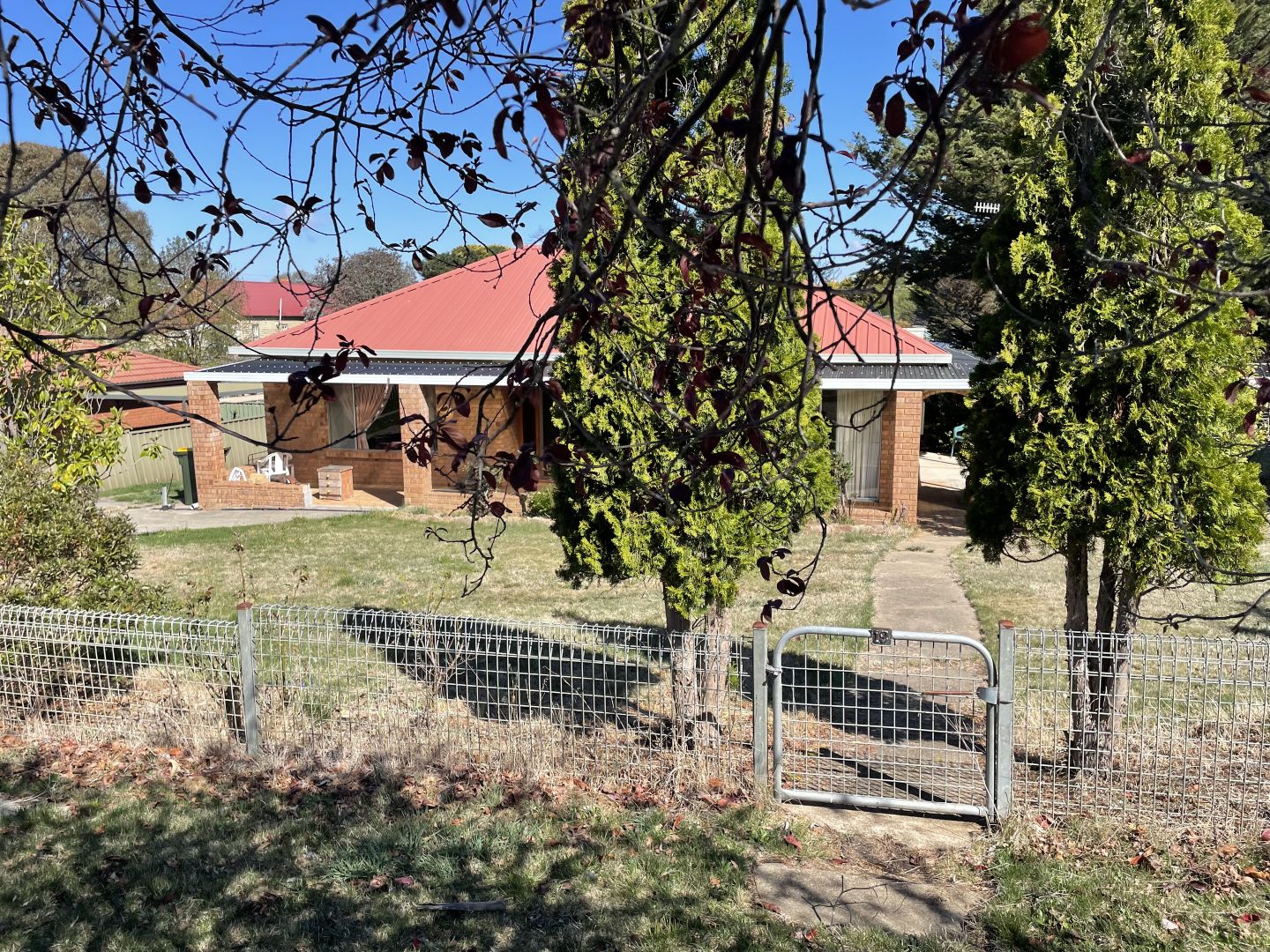 19 William Street, Delegate NSW 2633 Domain