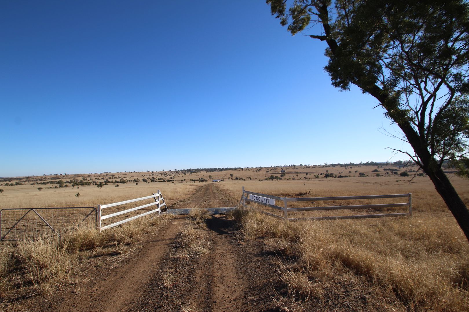 LOT 5 Mount Saltbush Road, Roma QLD 4455, Image 1